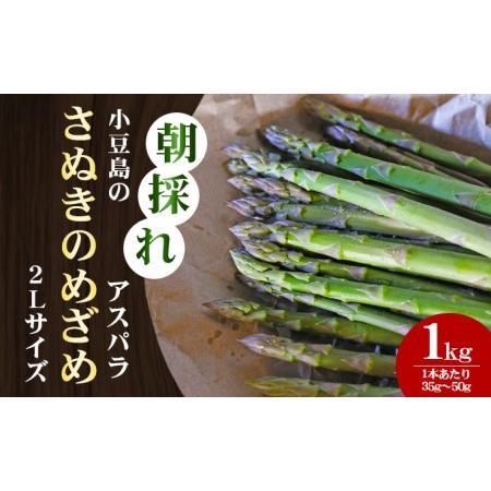 ふるさと納税 小豆島の朝採れアスパラ 『さぬきのめざめ』２Lサイズ１kg　配送期間：２月中旬〜５月中旬まで 香川県土庄町