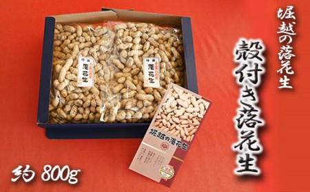 堀越の落花生　殻付き落花生　約800g  