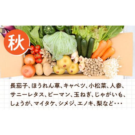 ふるさと納税 野菜定期便 フルーツ・きのこをセット「12回（毎月）」お届け 定期 詰め合わせ フルーツ 定期 旬 きのこ 柑橘 ぶ.. 長崎県南島原市