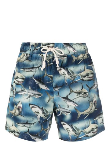 Palm Angels `Sharks` Swim Shorts