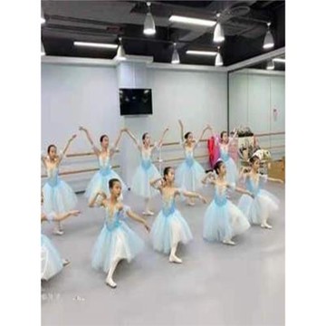 兒童芭蕾舞裙小天鵝蓬蓬紗裙淺藍色三層軟紗TUTU裙女童芭蕾演出服