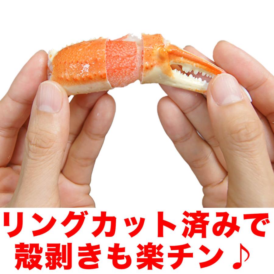 かに カニ ズワイガニ かに爪 総重量1kg 2L〜3Lサイズ 約26〜35個入り カニツメ  送料無料 リングカット プレゼント ギフト 贈答 ring-s