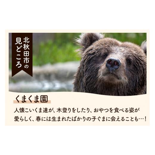 ふるさと納税 秋田県 北秋田市 きりたんぽ鍋セット あきたこまちきりたんぽ6本入 比内モツ 比内地鶏正肉 タレ 野菜入り ギフト 贈答