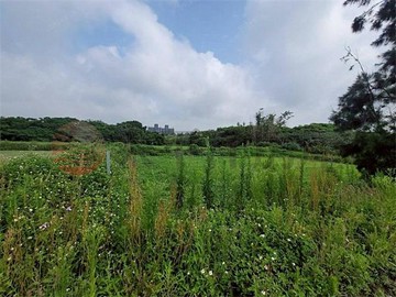 觀音保障三路旁一般農｜桃園市觀音區崙尾段