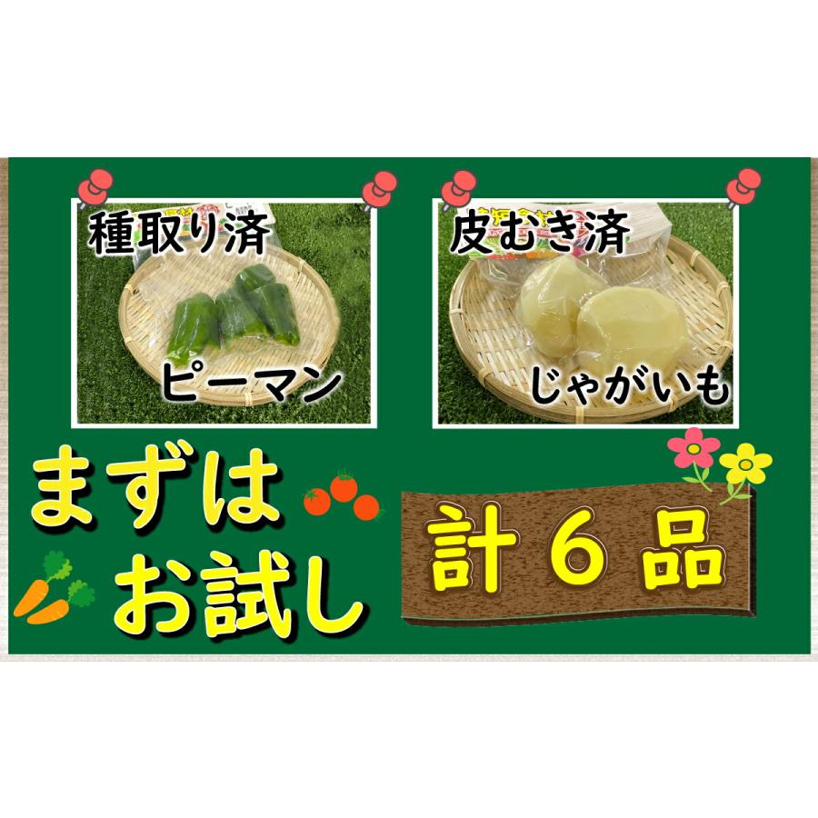 便利野菜九州野菜は3〜5品 送料無料 カット野菜