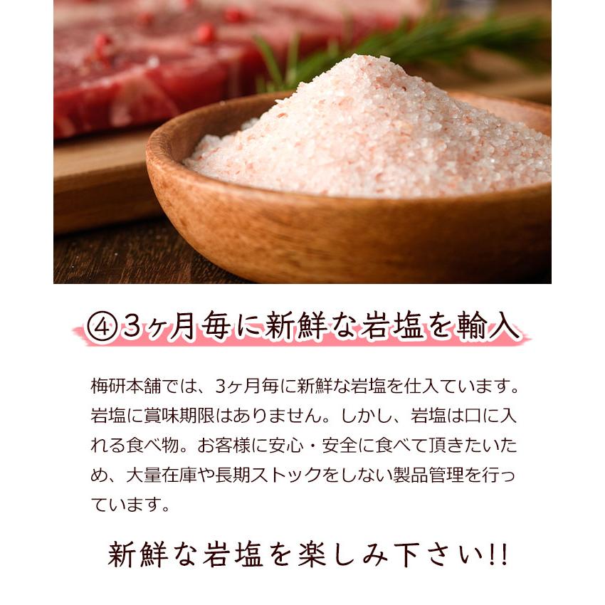 岩塩 食用 ヒマラヤ岩塩 ピンク パウダー 20kg ピンクソルト HACCP管理 健康とリラクゼーションの専門店 梅研本舗 UMEKEN HONPO