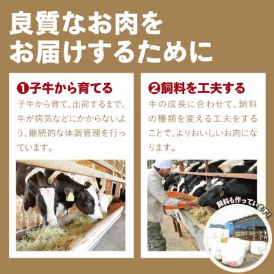 ふるさと納税 鳥取市 鳥取牛肩ロース焼肉用 400g