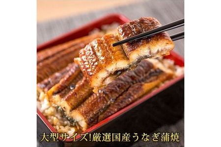 大型サイズ ふっくら柔らか国産うなぎ蒲焼き 2尾◇