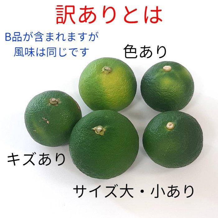 すだち 訳あり品 冷蔵物 徳島県産 １kg入り 送料無料 大容量 お試し 柑橘類 スダチ 調味料
