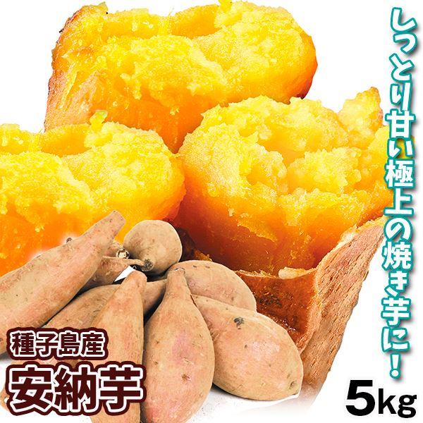 さつまいも 5kg 種子島産 安納芋 送料無料 食品