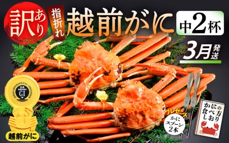 越前ガニ本場の越前町からお届け！越前ガニ浜茹で 越前ガニ（中 )×2杯 食べ方しおり かにスプーン付き 越前町の網元漁師厳選の越前ガニ [e15-x004_03] 福井県 雄 ズワイガニ ボイルガニ 冷蔵 越前がに 越前かに 越前ガニ 越前カニ 越前蟹 かに カニ 蟹