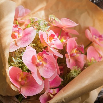 掬涵 蝴蝶蘭仿真花 5色入軟裝飾花卉藝術插花桌面擺件餐桌派對