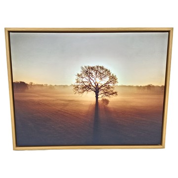 浪漫主義 樹間映像 木框  30 x 40cm