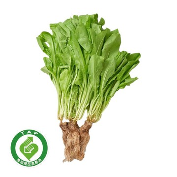 [家速配]履歷水耕A菜(每袋約250g±10%)