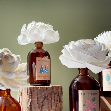 【香氛森林】 天然精油室內香氛擴香花 -  14款香味【新包裝】【快速出貨】