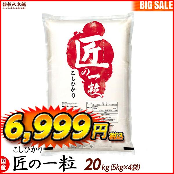 匠の一粒 コシヒカリ 20kg(10kg×2袋) 国産 国産コシヒカリ100％ ＼セール／