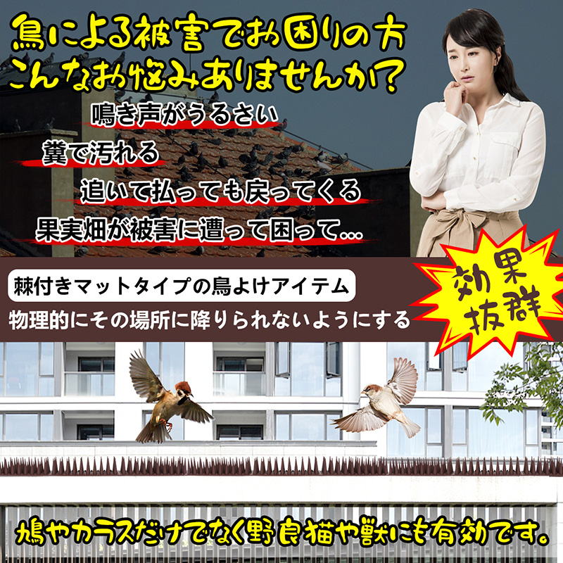 鳥よけ 鳩よけ とげ長め仕様 耐候性 自由カット 針が密集するとげ高め仕様 樹脂製 優れた耐久性 耐候性 カラスよけ 景観を損なわずフン害防止 ベランダ 屋上