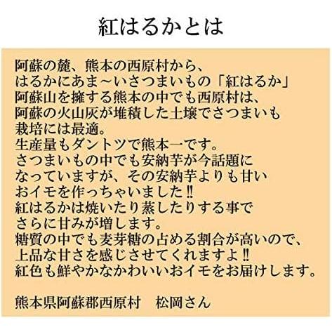 さつまいも 紅はるか 秀品 箱込約5kg 熊本県産 M~L