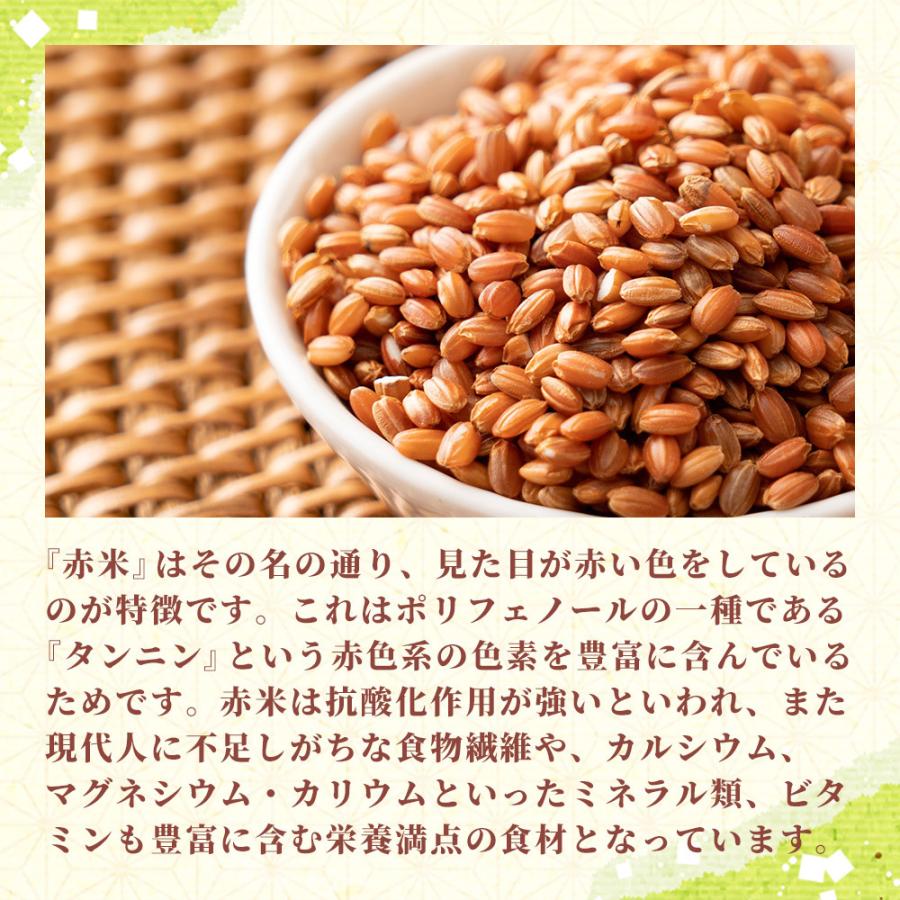 セール 国産 赤米 450g お試し 新米 令和4年産 古代米 雑穀 雑穀米 ダイエット 置き換え 食品 送料無料