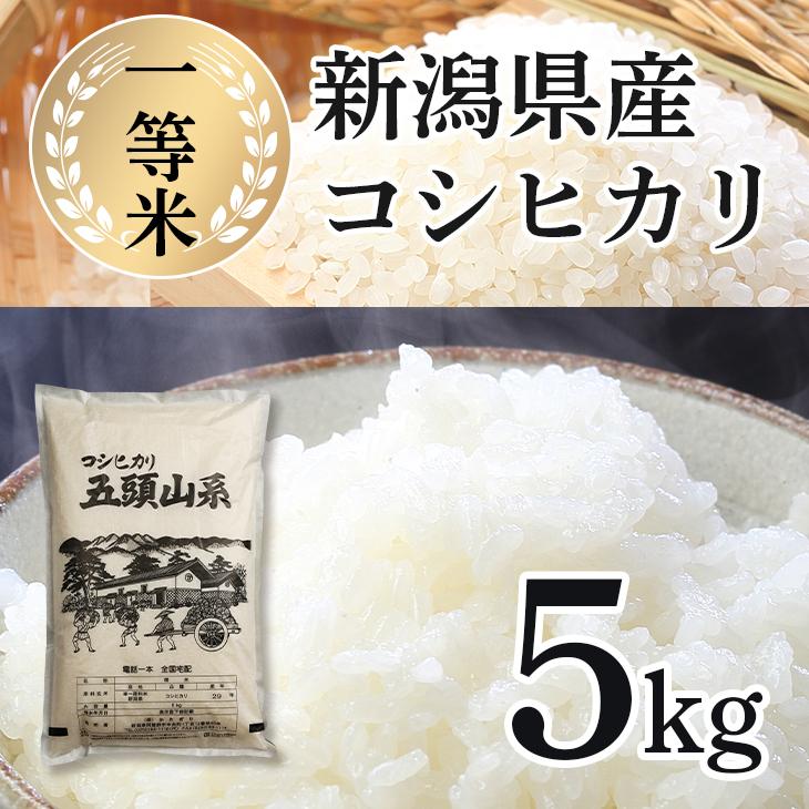 お米 5kg 5キロ 米 コシヒカリ 新潟県産 白米 こしひかり 新潟産 五頭山系 お取り寄せグルメ 食品 食べ物 美味しい 非常食 2021 送料無 安い