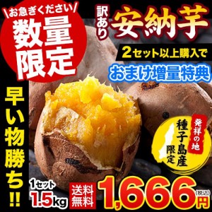 さつまいも 訳あり 安納芋 種子島産 1.5kg 送料無料 2セットで1kgおまけ増量 スイーツ サイズ不揃い 《1-5営業以内発送予定(土日祝除く)