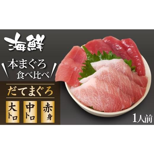 ふるさと納税 岩手県 滝沢市 海鮮丼の具！ まぐろづくし 1人前 ／ 刺身 冷凍 食べ比べ 