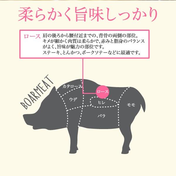 上信ポークロースステーキ＜100g×2枚＞ 長野県産 上信ポーク 豚肉 国産豚 ロース ステーキ