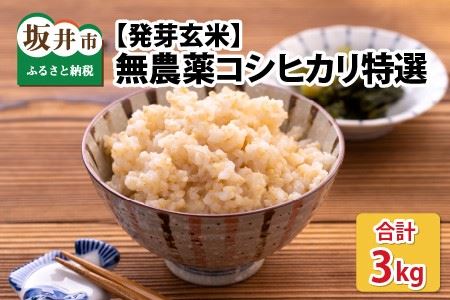 無農薬 福井県産 コシヒカリ特選 真空パック 3kg  ～玄米以上の栄養価と白米に近い柔らかさ～ [A-2922]