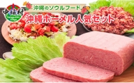 缶詰・レトルト詰め合わせセット１（タコライス缶詰70ｇ×12缶＆沖縄のお肉缶詰セット）