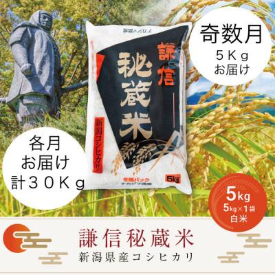 ふるさと納税 上越市 謙信秘蔵米5kg(精米)全6回