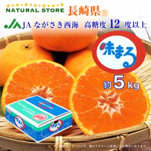 [予約 2023年 12月25日-12月31日の納品] 味まる SML 約 5kg 長崎県 JAながさき西海 高糖度 長崎ミカン 高級 産地箱 上級品 冬ギフト お歳