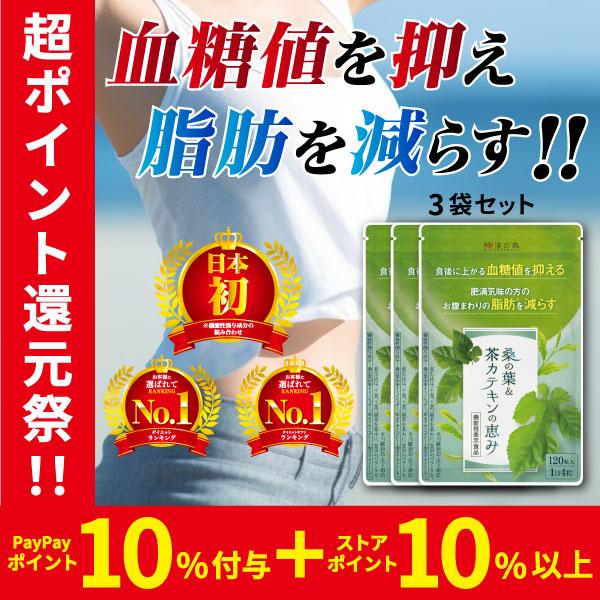 ダイエット サプリ 皮下脂肪 内臓脂肪 お腹の脂肪 サプリメント 燃焼