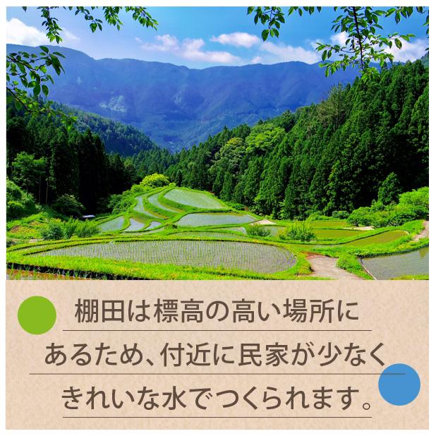 玄米 令和5年産 熊本県あきげしき棚田米 30kg