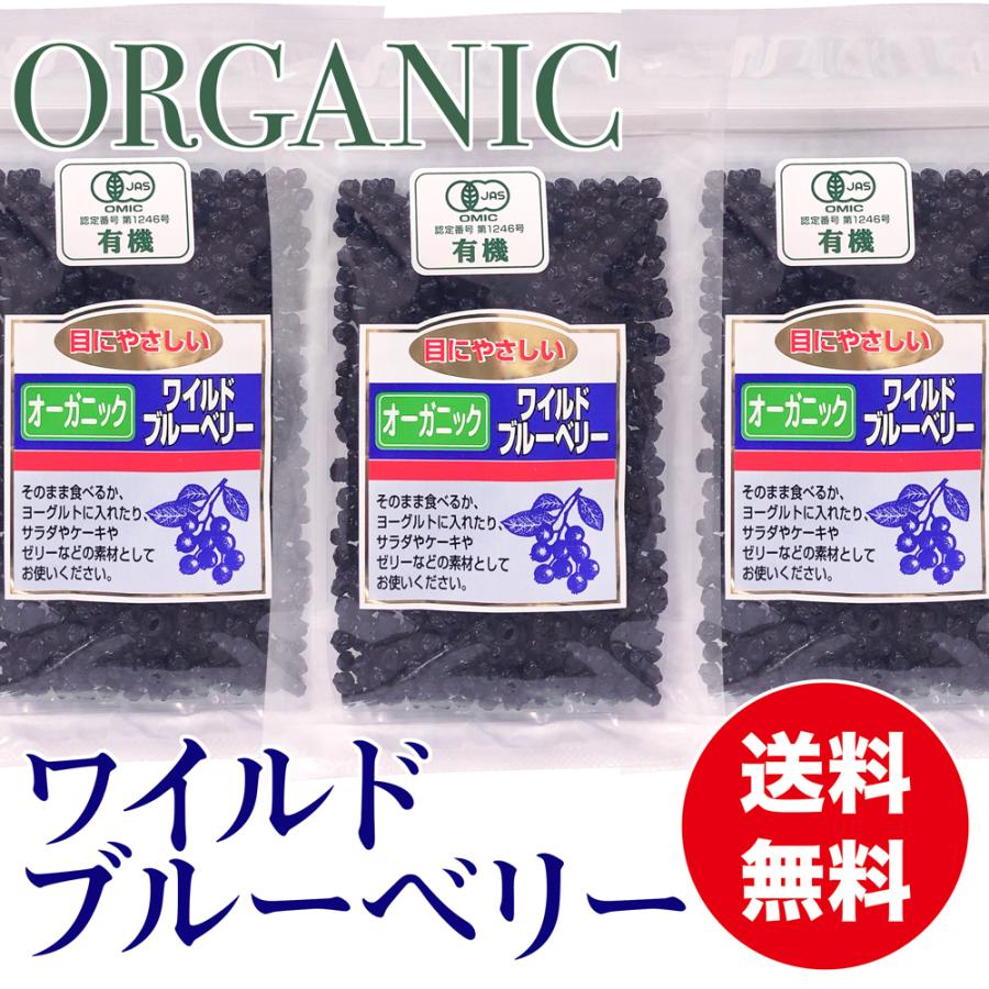 オーガニック ワイルドブルーベリー 100g ×３袋　有機ドライブルーベリー 乾燥フルーツ