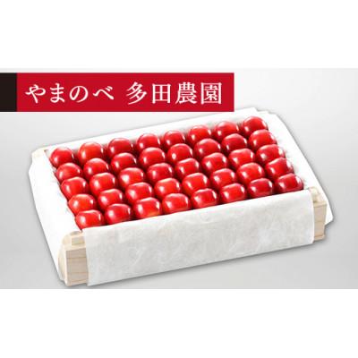 ふるさと納税 中山町 桐箱詰 約700g