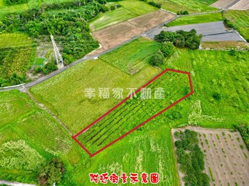 專-新市日潭4分好耕種農地議價空間大!｜台南市新市區日潭段