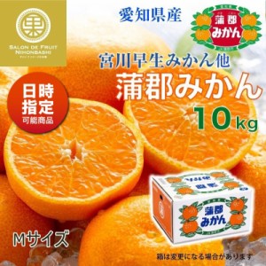 [予約 2023年 12月15日頃から発送] 蒲郡みかん 約10kg Mサイズ 愛知県蒲郡産 産地箱 蒲郡早生みかん 早生 蒲郡 宮川早生 他 冬ギフト お