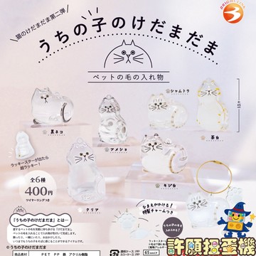 『現貨』 我家毛孩透明吊飾P2 全6款 扭蛋 轉蛋 Bright Link 貓毛 集中 吊飾 罐 瓶 【許願扭蛋機】