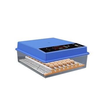 保暖/溫控 FANGE 方格 台灣現貨 孵蛋器 48枚雙電源孵蛋器  全自動孵化器 智能控溫箱 雞鴨鵝鴿迷妳孵化機 自動翻蛋