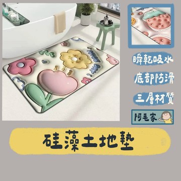 珪藻土地墊 矽藻土軟地墊 硅藻土地墊 吸水地墊 腳踏墊 防滑地墊 地墊 防滑墊 軟地墊  珪藻土 吸水墊 廚房地墊