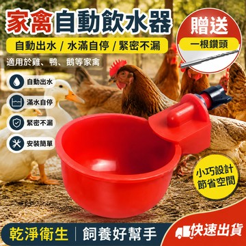 🔥臺灣24H🔥家禽自動餵水器 餵鷄喝水槽 蘆丁鷄飼料桶 飲水器 小鷄鴨鵝 自動餵鷄神器 13OP