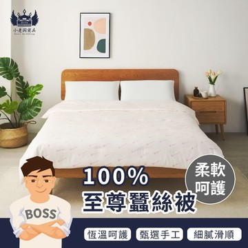 小老闆寢具【100%蠶絲被】棉被 雙人棉被 被子 被胎 四季被 單人棉被 水洗被 石墨烯被 雲朵被 玉米被 纖維被