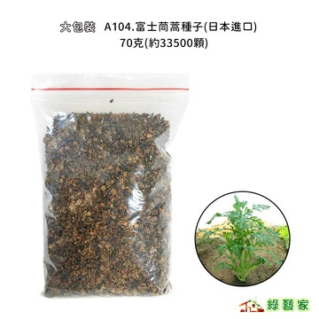 大包裝A104.富士茼蒿種子(日本進口) 70克(約33500顆) 葉色鮮綠 食味可口 香味濃郁【綠藝家】