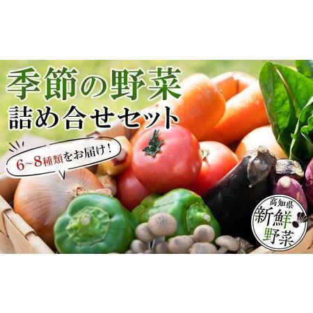 ふるさと納税 　高知県産　土佐季節の野菜詰め合せセット 高知県高知市