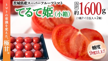  スーパーフルーツトマト てるて姫 小箱 約800g  7〜13玉 × 2箱 糖度9度以上 ブランドトマト フルーツトマト トマト とまと [BC036sa]