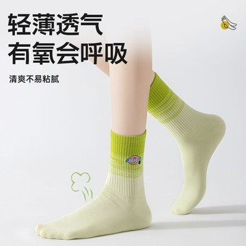 熱銷秒殺常客⚡ 【Dickies】中筒襪女款 吸汗防臭透氣 無骨襪 夏季穿搭 運動襪 鯊魚圖案