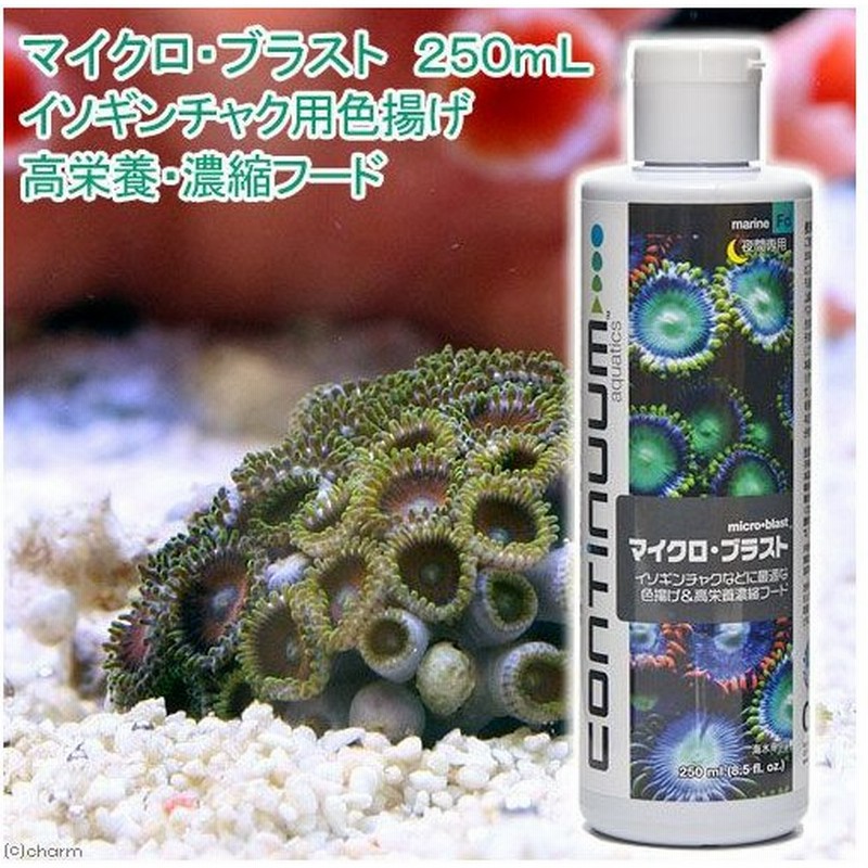 マイクロ ブラスト ２５０ｍｌ イソギンチャク用色揚げ 高栄養 濃縮フード 海水 サンゴ 通販 Lineポイント最大0 5 Get Lineショッピング