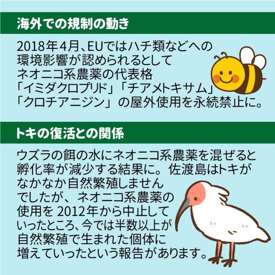 ネオニコフリー 玄米 30kg 令和5年産 愛知県産あいちのかおり 特別栽培米