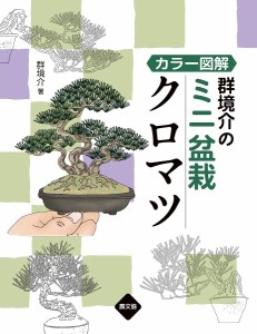 群境介のミニ盆栽クロマツ カラー図解 群境介