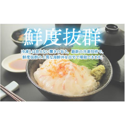 ふるさと納税 福井県 鯖江市 海鮮丼の具 タイ 60g（タレ付）× 5人前 [B